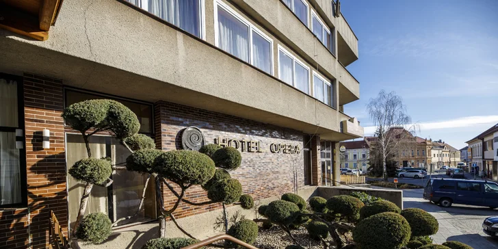 Hotel pri baroko all inclusive