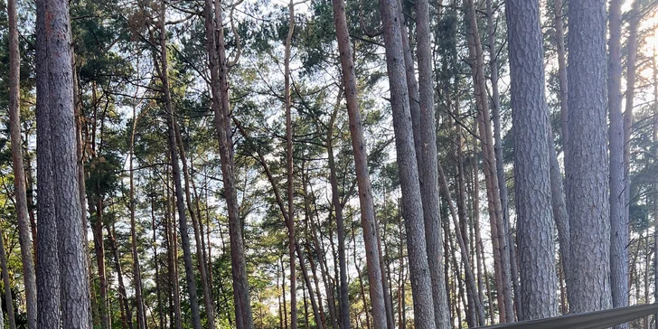 Relax pri Baltskom mori pre pár aj rodinu: útulné izby a polpenzia