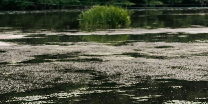 Pobyt v Kadani: raňajky alebo polpenzia, piknik na móle a vstup do wellness