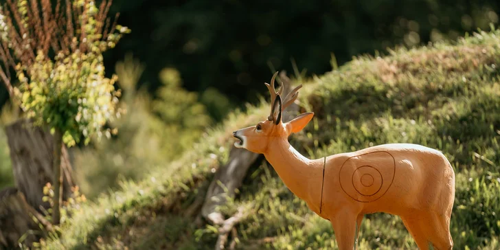 Kurz 3D lukostreľby pre 2 osoby: Nauč sa strieľať ako Legolas