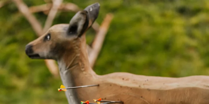 Kurz 3D lukostreľby pre 2 osoby: Nauč sa strieľať ako Legolas