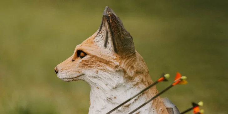 Kurz 3D lukostreľby pre 2 osoby: Nauč sa strieľať ako Legolas