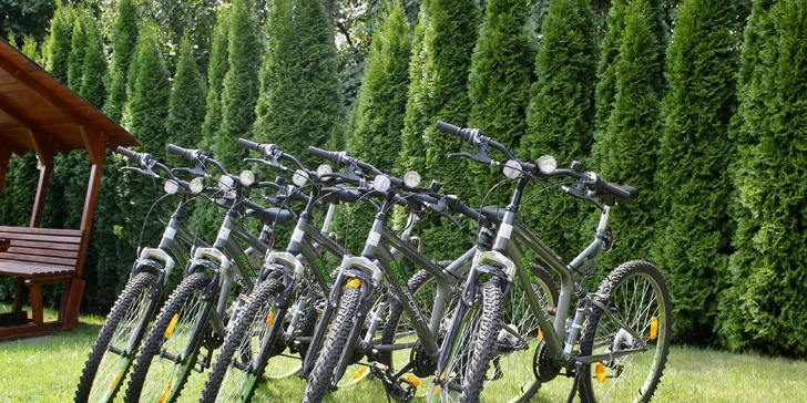 Rodinná dovolenka v Korutánsku: 3* hotel pri jazere Klopeiner, súkromná pláž, raňajky
