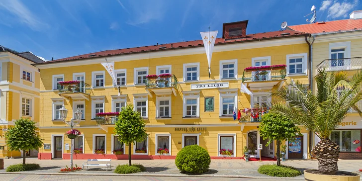 Františkovy Lázně s raňajkami, masážou a neobmedzeným vstupom do aquaparku Aquaforum