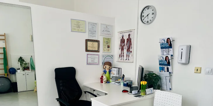 Fyzioterapia pri migréne, bolestiach sánky, SM systém alebo masáže