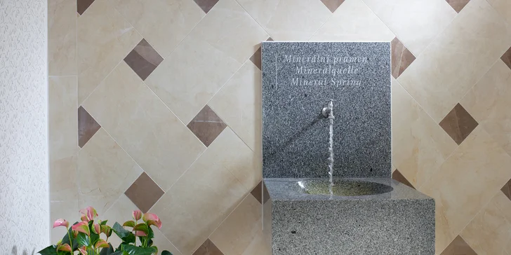 Oddych vo Františkových Lázňach s jedlom, wellness a balíčkom procedúr