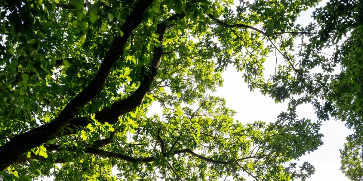 Poľská dovolenka pri Baltskom mori: apartmány aj domčeky so stravou a wellness