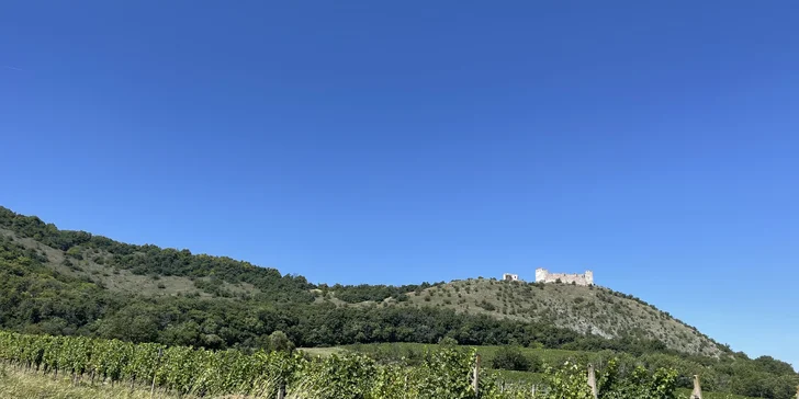 Dovolenka v Zámockom hoteli Lednice: terasa s výhľadom na zámok, raňajky alebo polpenzia a víno