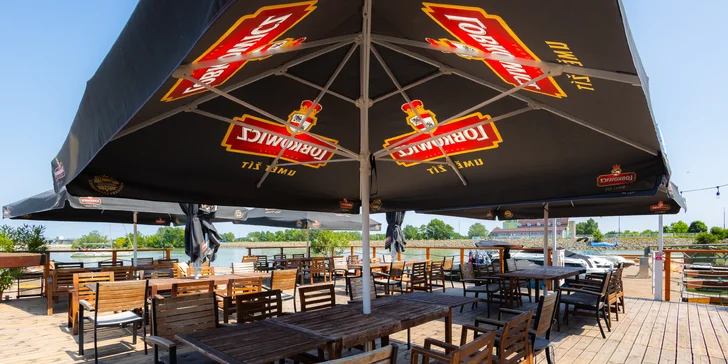 Privátne plavby po Dunaji: Bratislava, Dunajské Safari, Devín či Gabčíkovo