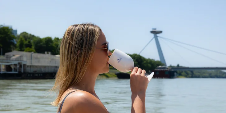 Privátne plavby po Dunaji: Bratislava, Dunajské Safari, Devín či Gabčíkovo