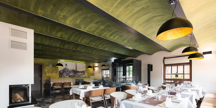 Víkend v Ostrave: raňajky alebo polpenzia, moderný hotel blízko centra aj hradu