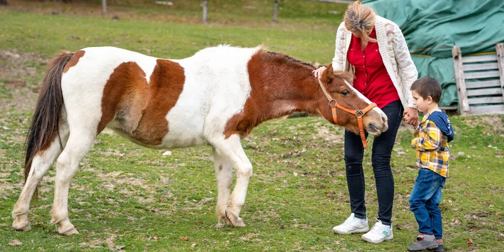 Príjemný penzión v prírode Beskýd s koňmi a ďalšími zvieratami