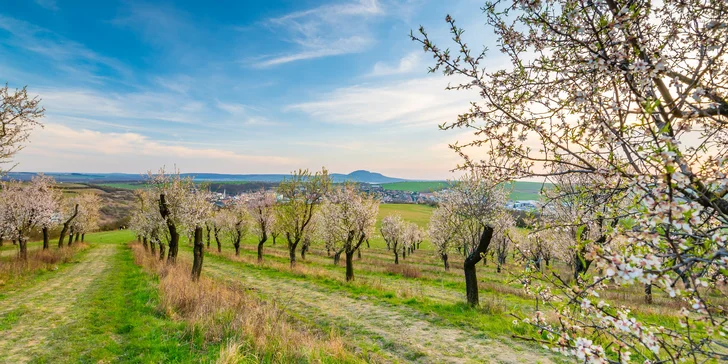 Dovolenka pod Pálavou: raňajky alebo polpenzia, saunový svet aj zľava na wellness procedúry