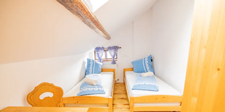 Pobyt v pravej šumavskej drevenici pre pár aj rodinu: raňajky alebo polpenzia