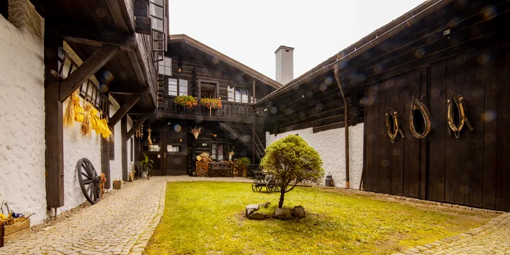 Pobyt v pravej šumavskej drevenici pre pár aj rodinu: raňajky alebo polpenzia