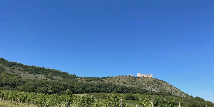 Penzión neďaleko Mikulova a Pálavy: bez stravy, s raňajkami alebo s polpenziou