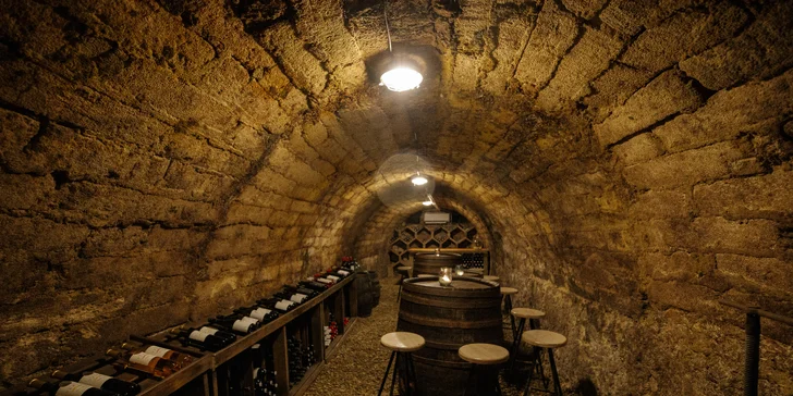 Historický penzión so záhradou priamo pod Sv. kopečkom v Mikulove s výhľadom na zámok