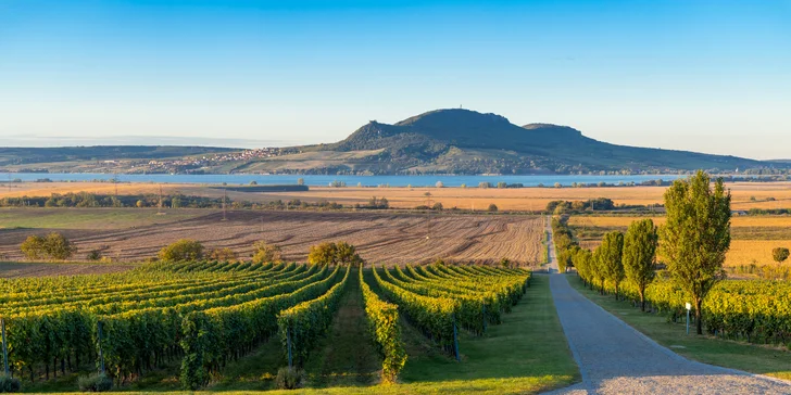 Dovolenka na juhu Moravy: penzión s raňajkami aj polpenziou, zľava na vstup do Aqualandu Moravia