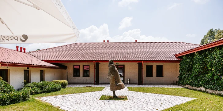 Pôvabný hotel s umením v historickom parku neďaleko Krakova s raňajkami alebo polpenziou