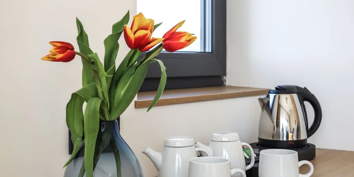 Dizajnový hotel v Beskydách: apartmán s vírivkou, vychýrená kuchyňa, polpenzia