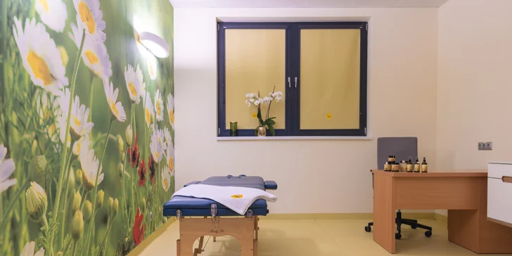 Pobyt v lone prírody s neobmedzeným wellness a liečivou silou medu