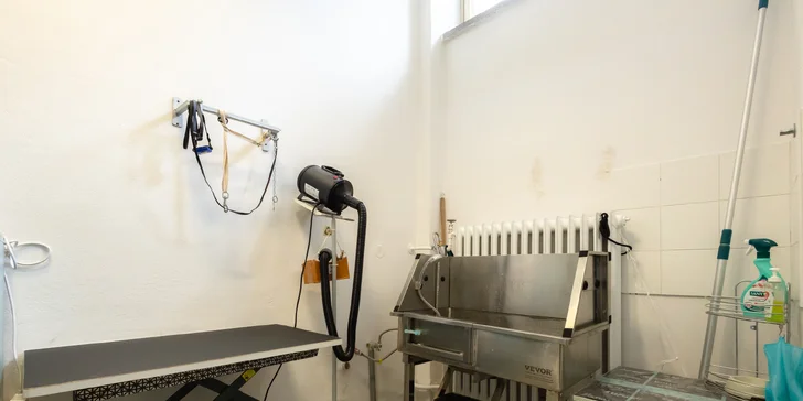 Strihanie alebo kompletná hygienická starostlivosť pre psíkov