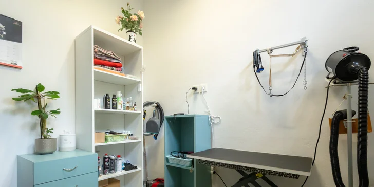 Strihanie alebo kompletná hygienická starostlivosť pre psíkov