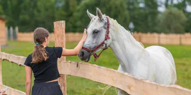 Rodinný rezort s výhľadom na Gerlach: Zverofarma, megaihrisko aj animácie