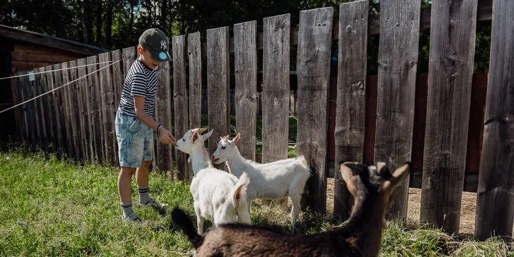 Deň plný zábavy v Tatrách: Zverofarma, Megaihrisko a ďalšie atrakcie