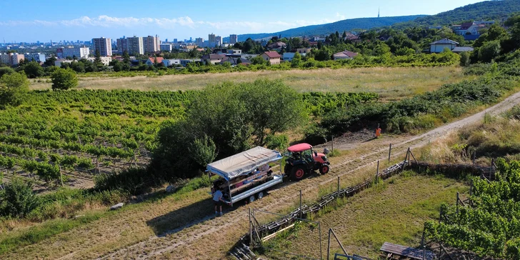 Dobrodružstvo vo vinohrade: Jazda na vlečke, víno aj grilovanie