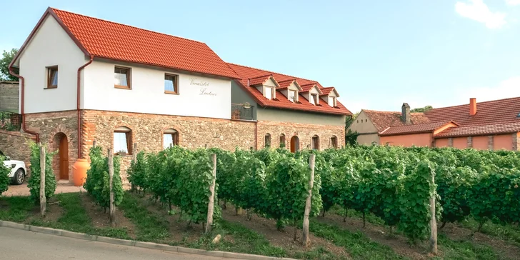 Dovolenka na juhu Moravy pre milovníkov vína: degustácia s neobmedzenou konzumáciou vína aj raňajky