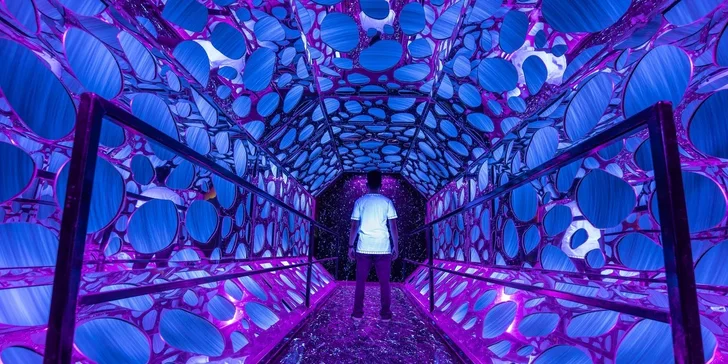 Vstup do jedinečného svetelného parku LuminaVerse pre deti a dospelých