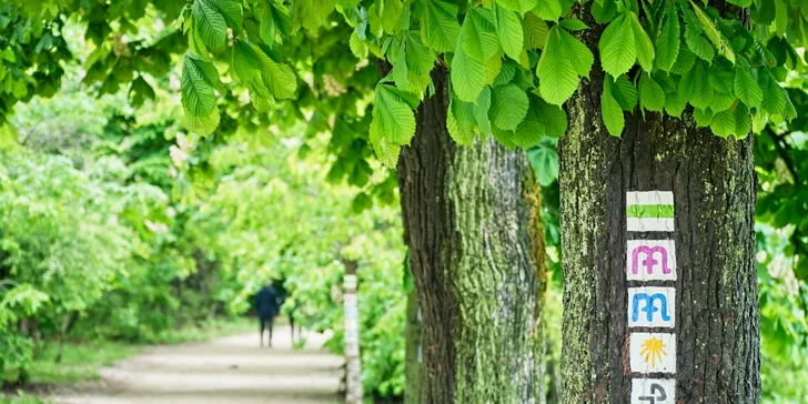 Pobyt v maďarskom meste Bük: vybavený apartmán, 3 km od termálnych kúpeľov Bükfürdő