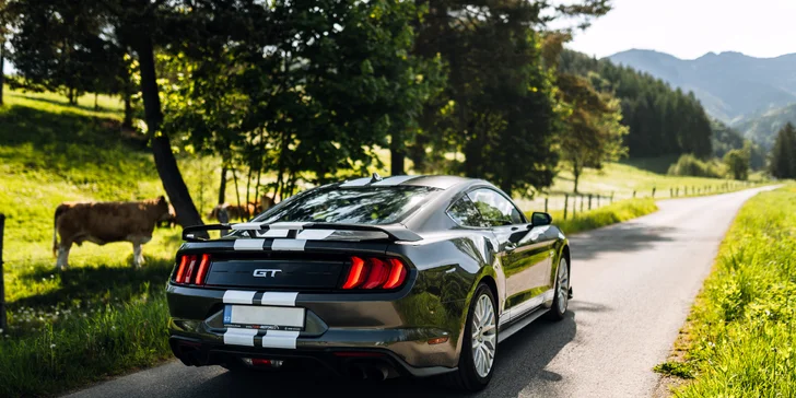 Jazda snov: 15 až 60 minút za volantom parádneho Ford Mustang GT 5.0