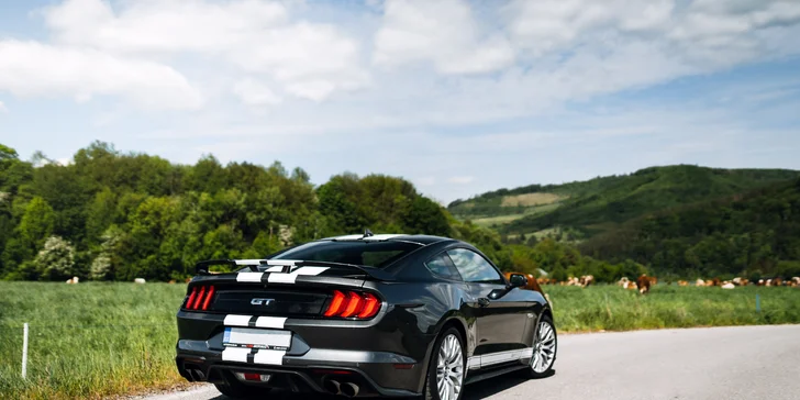 Jazda snov: 15 až 60 minút za volantom parádneho Ford Mustang GT 5.0