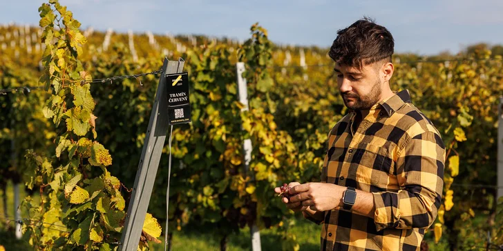 Krásny boutique penzión vo Veľkých Bíloviciach s vínnou pivnicou a barom