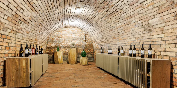 Krásny boutique penzión vo Veľkých Bíloviciach s vínnou pivnicou a barom