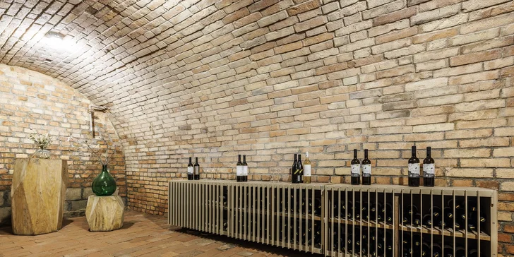 Krásny boutique penzión vo Veľkých Bíloviciach s vínnou pivnicou a barom