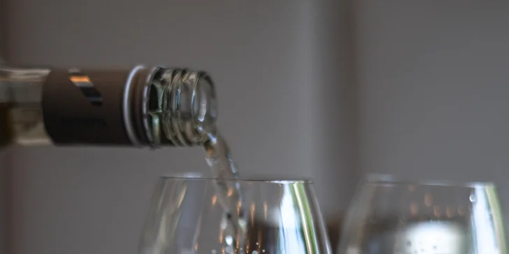 Krásny boutique penzión vo Veľkých Bíloviciach s vínnou pivnicou a barom