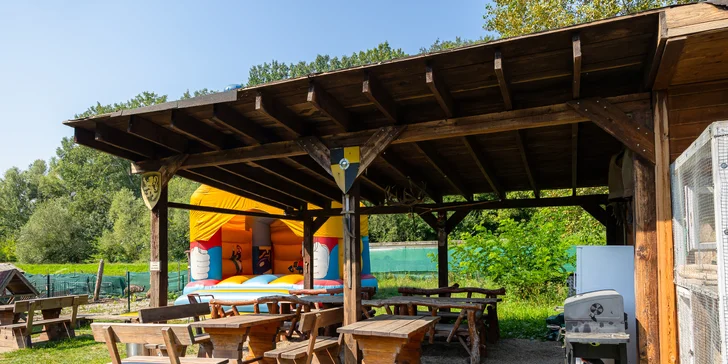 Vstupenky do Sokoliarne a mini zoo Devín pre malých aj veľkých a workshop Dotkni sa dravcov