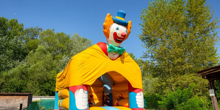 Vstupenky do Sokoliarne a mini zoo Devín pre malých aj veľkých a workshop Dotkni sa dravcov