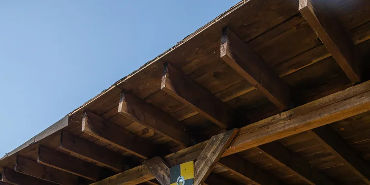 Vstupenky do Sokoliarne a mini zoo Devín pre malých aj veľkých a workshop Dotkni sa dravcov