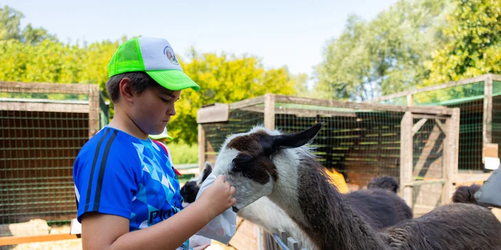 Vstupenky do Sokoliarne a mini zoo Devín pre malých aj veľkých a workshop Dotkni sa dravcov