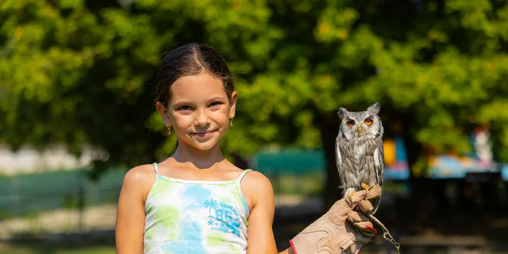 Vstupenky do Sokoliarne a mini zoo Devín pre malých aj veľkých a workshop Dotkni sa dravcov
