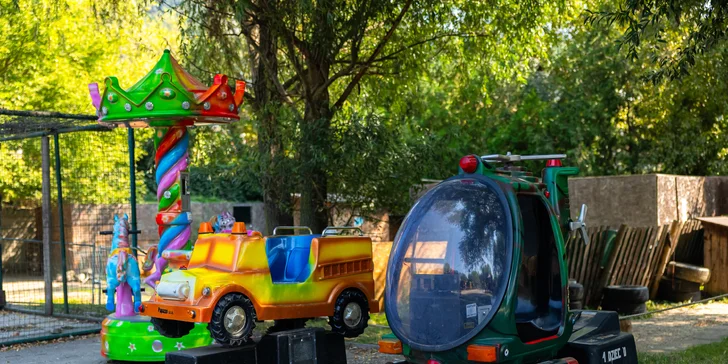 Vstupenky do Sokoliarne a mini zoo Devín pre malých aj veľkých a workshop Dotkni sa dravcov
