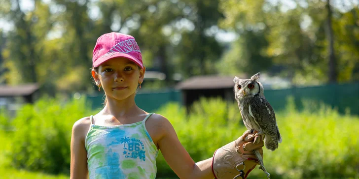 Vstupenky do Sokoliarne a mini zoo Devín pre malých aj veľkých a workshop Dotkni sa dravcov