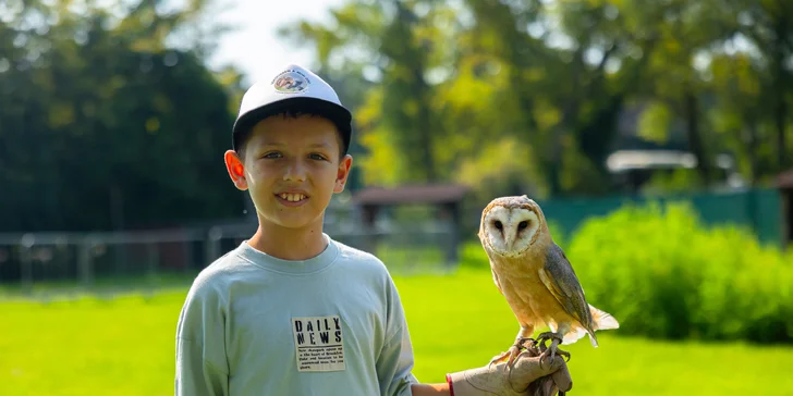 Vstupenky do Sokoliarne a mini zoo Devín pre malých aj veľkých a workshop Dotkni sa dravcov