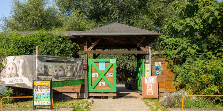Vstupenky do Sokoliarne a mini zoo Devín pre malých aj veľkých a workshop Dotkni sa dravcov
