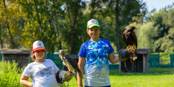 Vstupenky do Sokoliarne a mini zoo Devín pre malých aj veľkých a workshop Dotkni sa dravcov