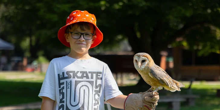 Vstupenky do Sokoliarne a mini zoo Devín pre malých aj veľkých a workshop Dotkni sa dravcov